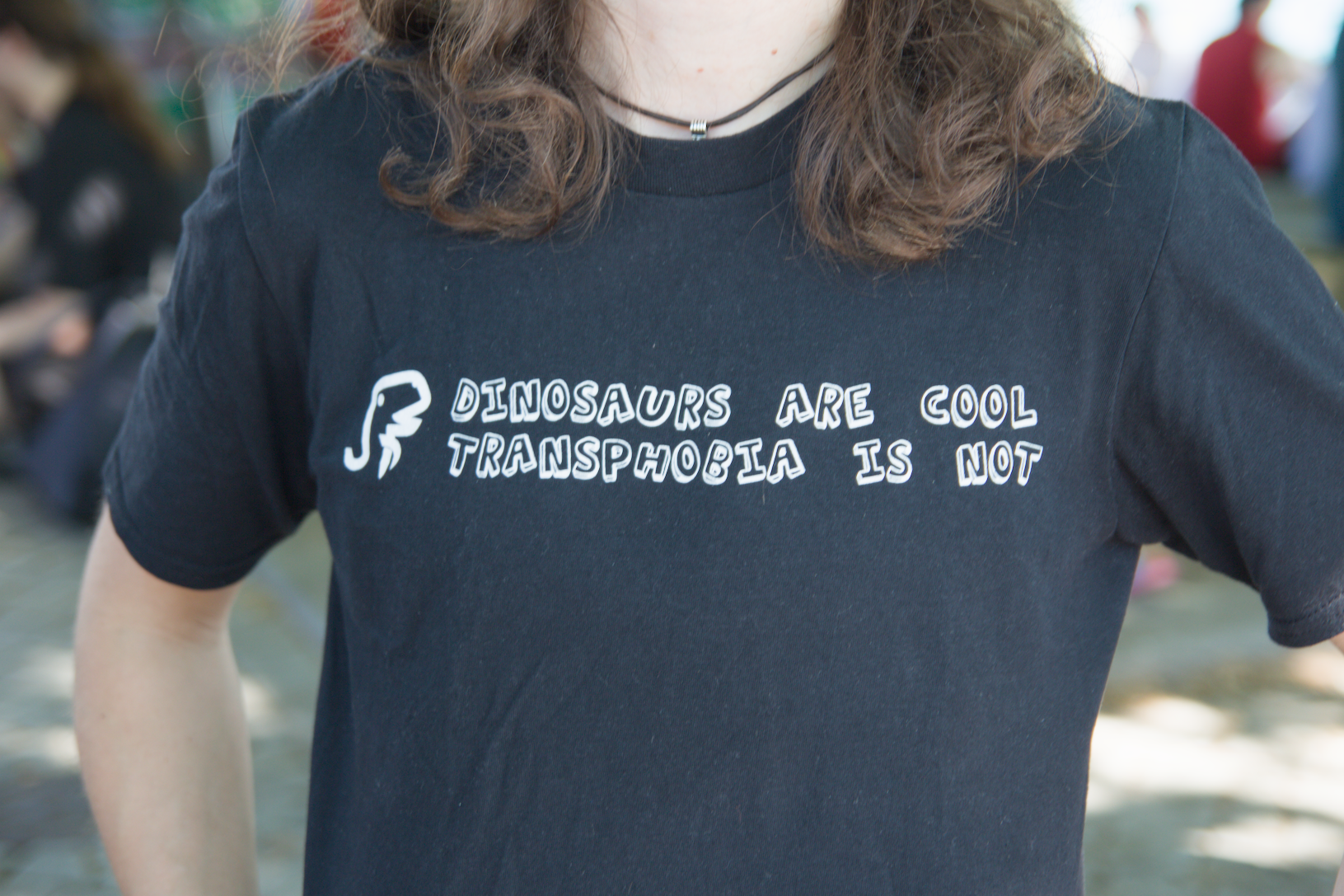 Person wearing a T-Shirt with "Dinosaurs are cool / Transphobia is not" written on it. Image is cropped, so that the head and lower body is not visible.